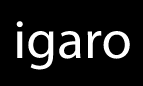 igaro-dynamo-usb